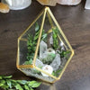 Crystals for plants