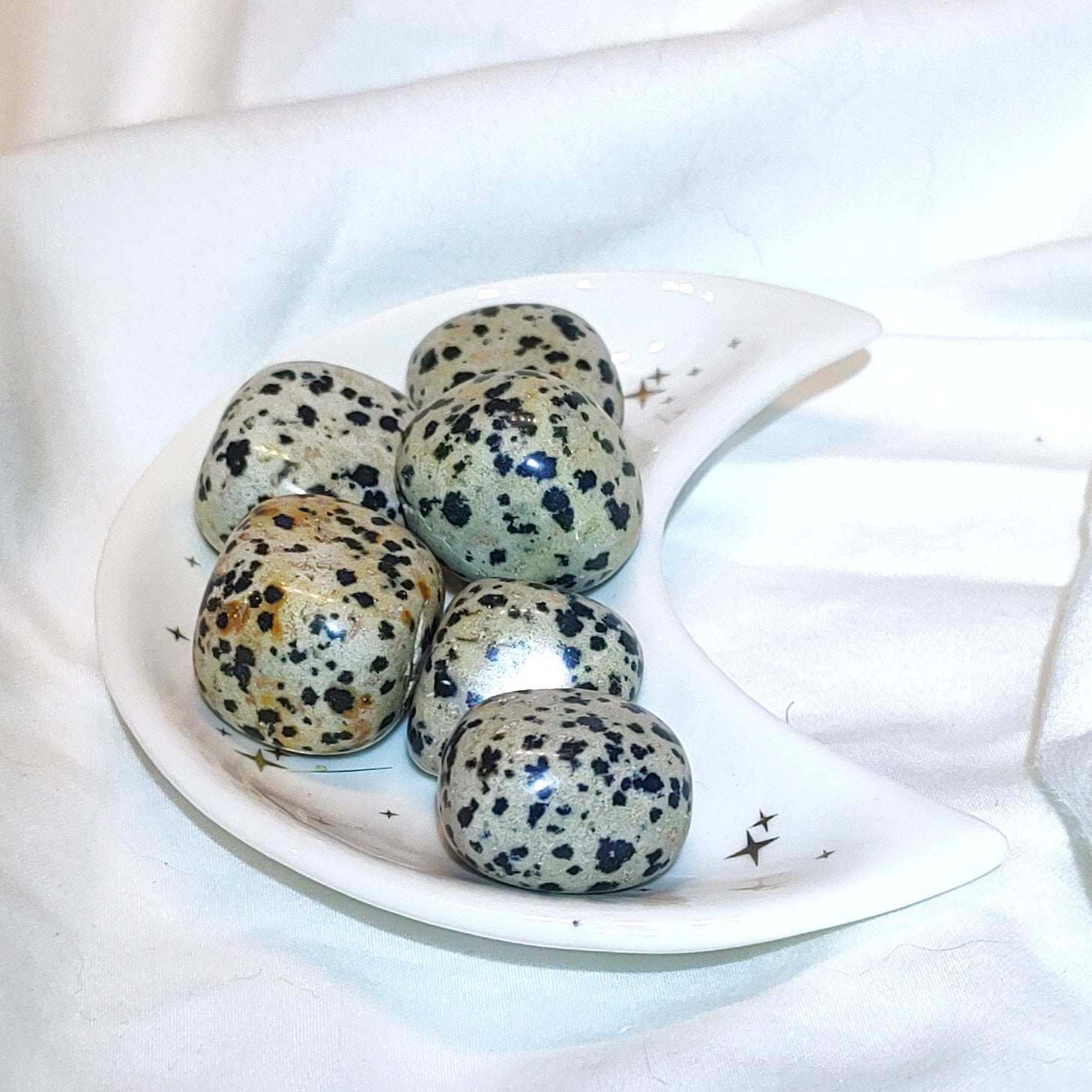 Dalmatian Jasper tumbled stone
