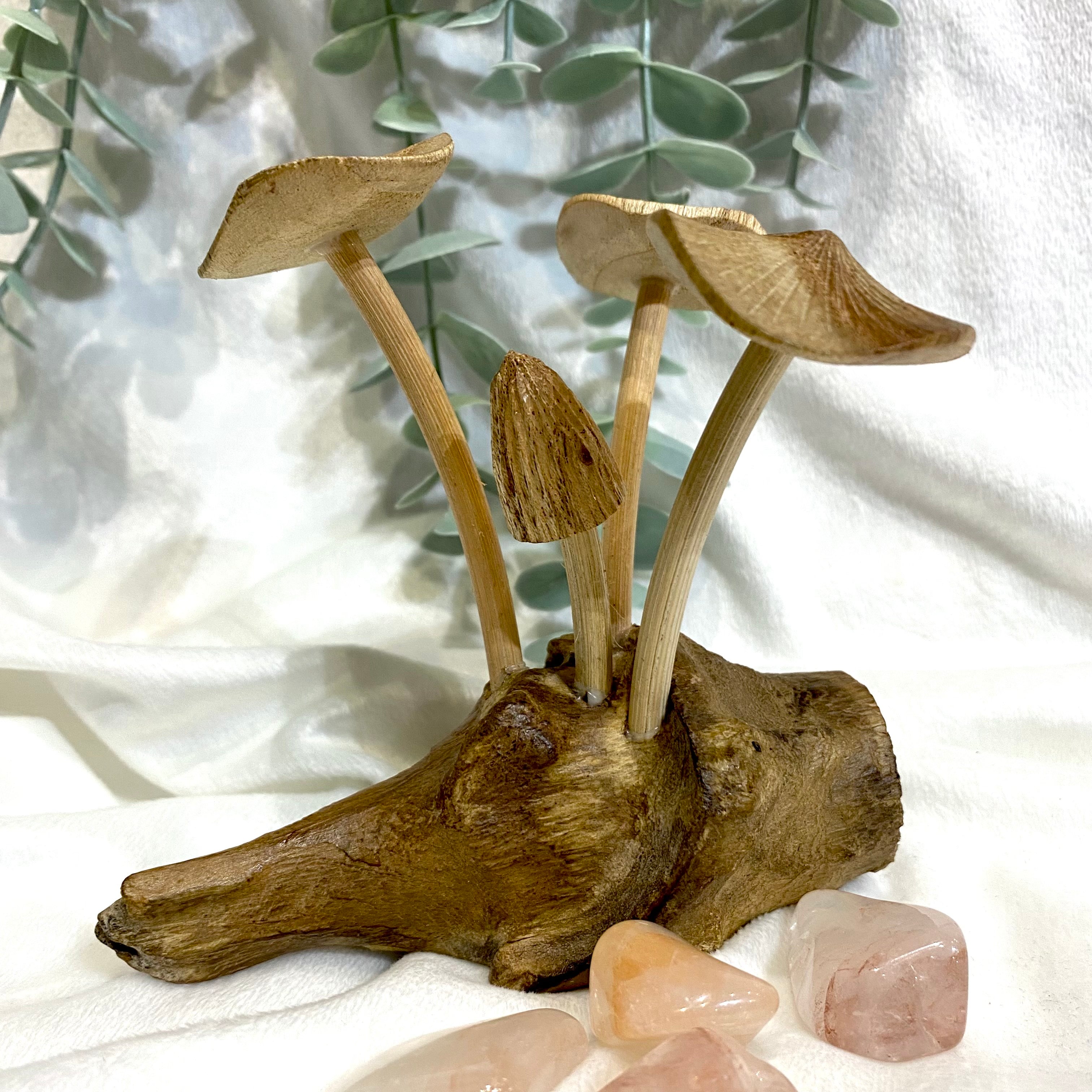 Wooden Mushroom Carvings - Various Sizes