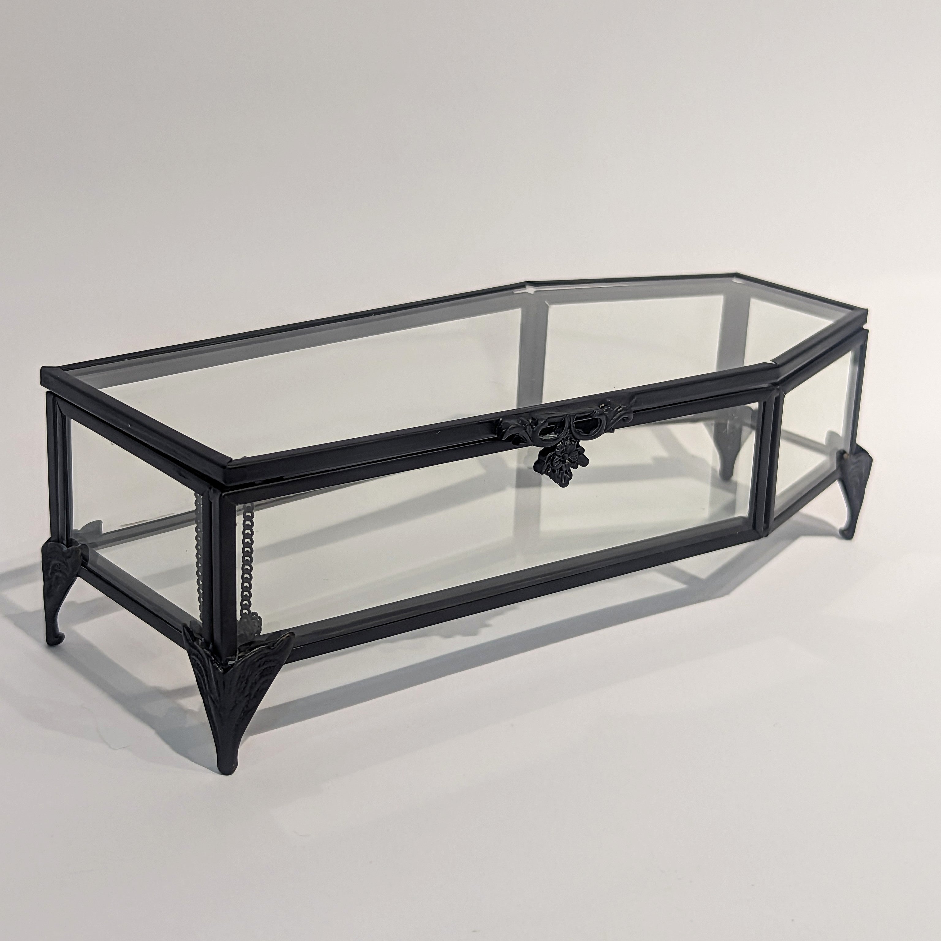 Glass Coffin Trinket Box