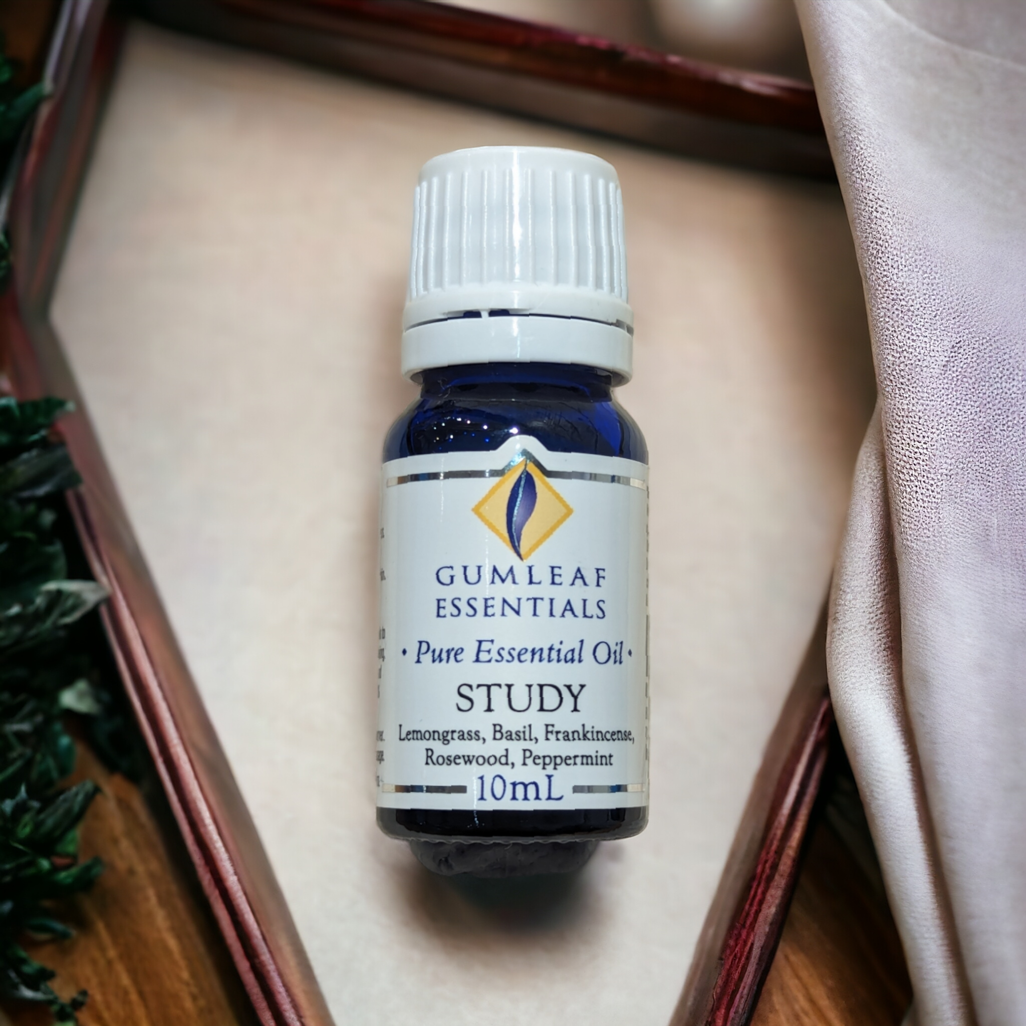 Study Essential Oil Blend 10ml