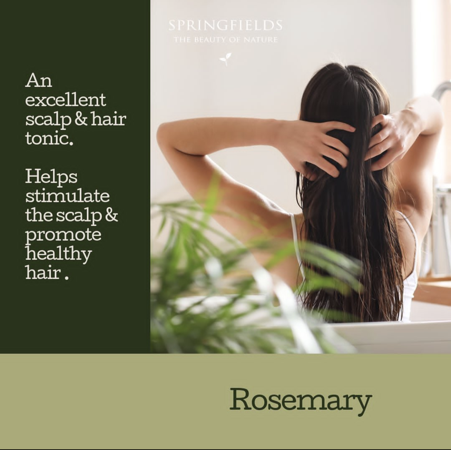 Rosemary Essential Oil 11ml