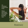 Rosemary Essential Oil 11ml