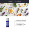 Frankincense Essential Oil 5ml