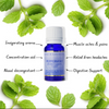 Peppermint Essential Oil 11ml