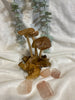 Wooden Mushroom Carvings - Various Sizes