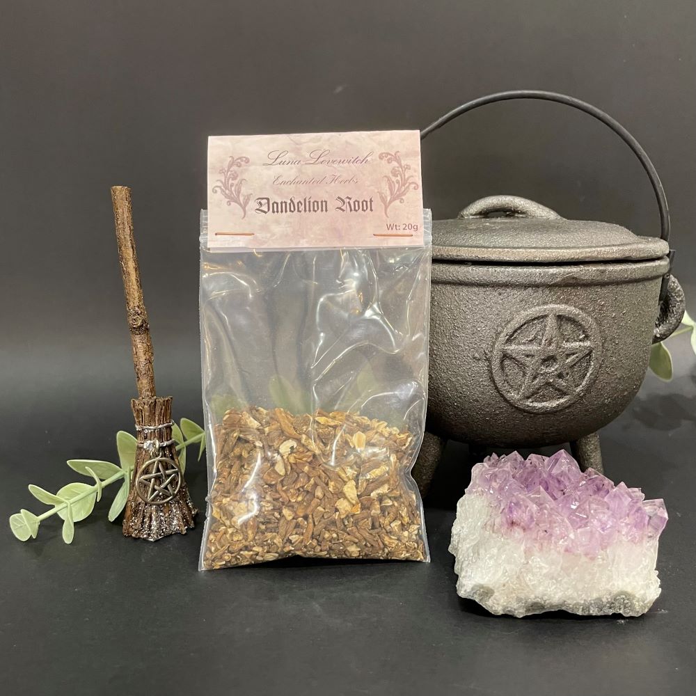 Luna Lovewitch Enchanted herbs - Dandelion Root