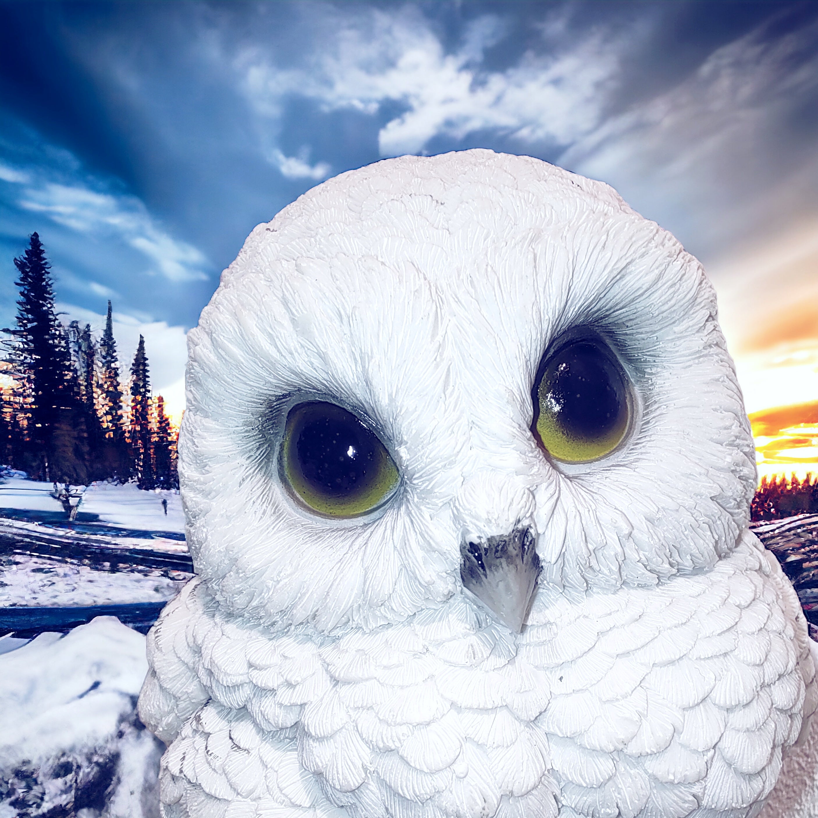 Cute white owl 12cm