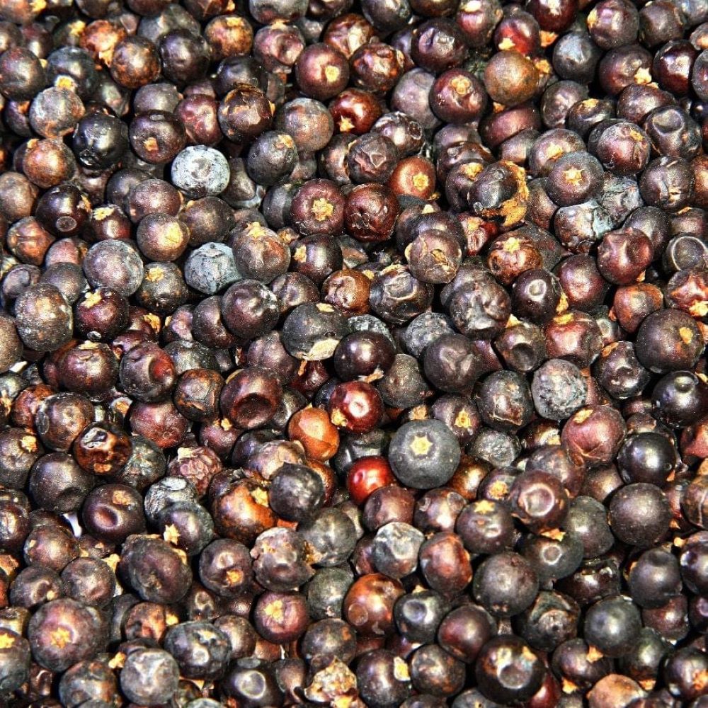 Luna Lovewitch Enchanted Herbs - Juniper berries