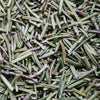 Luna Lovewitch enchanted herbs - Rosemary