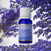 Lavender Essential Oil 11ml
