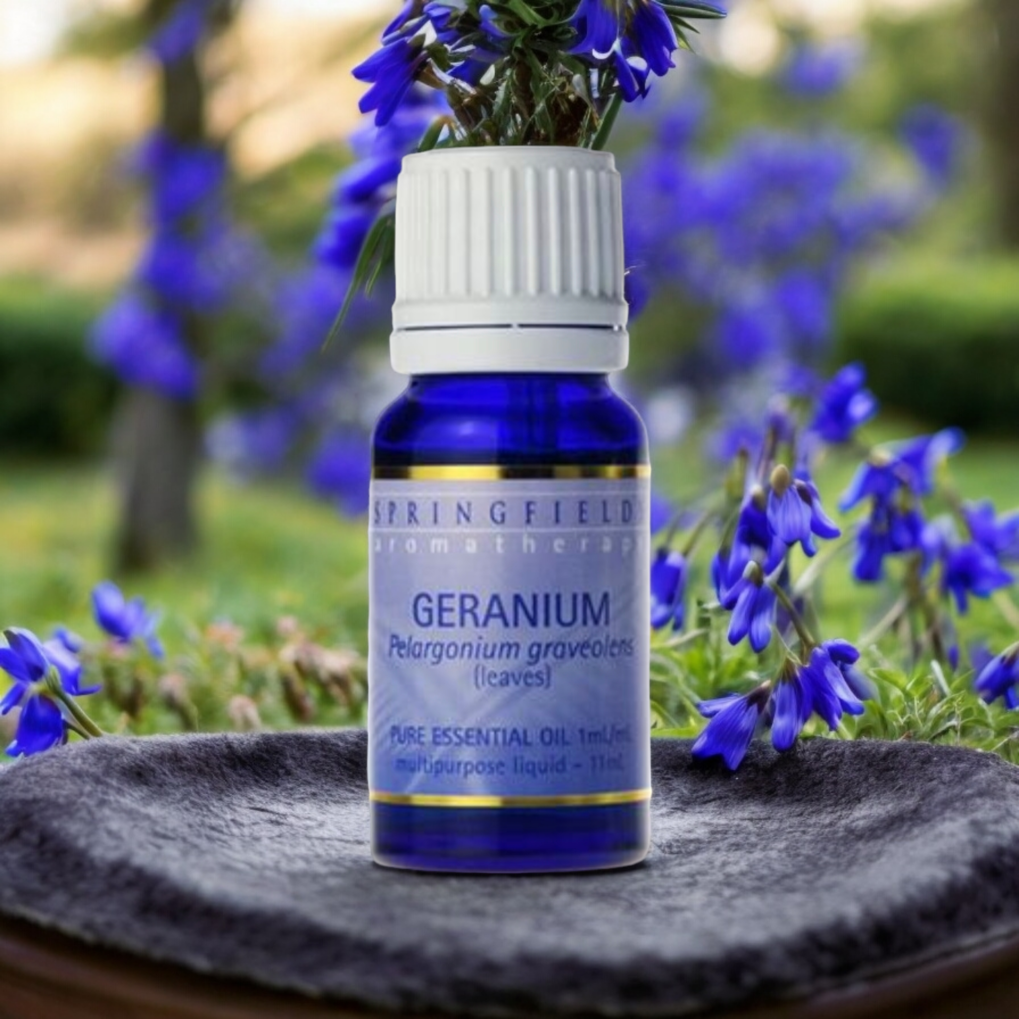 Geranium Essential Oil 11ml