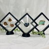 Specimen frames to keep your prized treasures in!