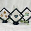 Specimen frames to keep your prized treasures in!