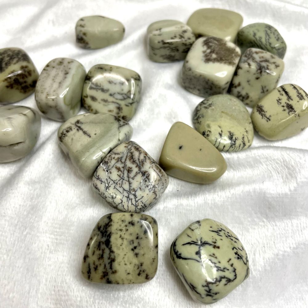 Dentritic agate tumble stone ~  2 size choices