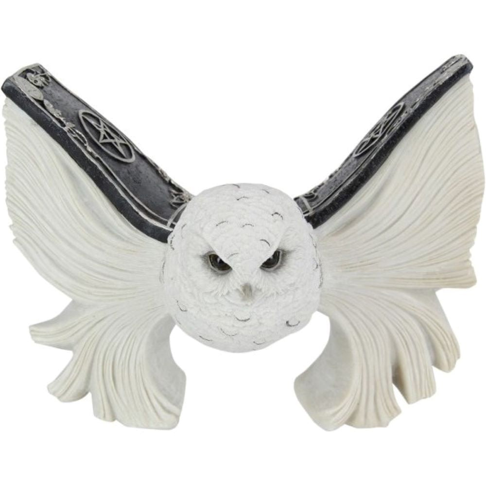 Magical flying owl spell book resin statue
