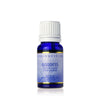 GODDESS 11ML Essential Oils The Crystal and Wellness Warehouse 