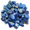 Lapis Lazuli tumbled stone Crystals The Crystal and Wellness Warehouse 