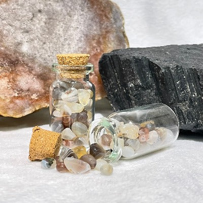 Large Crystal Chip Jars Rocks & Fossils The Crystal and Wellness Warehouse Agate 