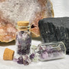 Large Crystal Chip Jars Rocks & Fossils The Crystal and Wellness Warehouse Amethyst 