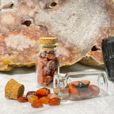 Large Crystal Chip Jars Rocks & Fossils The Crystal and Wellness Warehouse Carnelian 