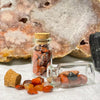 Large Crystal Chip Jars Rocks & Fossils The Crystal and Wellness Warehouse Carnelian 
