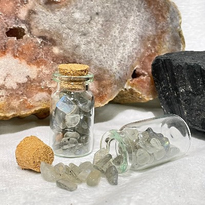 Large Crystal Chip Jars Rocks & Fossils The Crystal and Wellness Warehouse Labradorite 