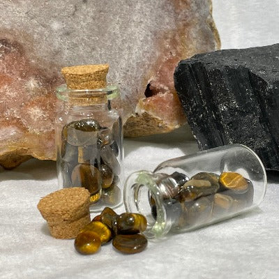 Large Crystal Chip Jars Rocks & Fossils The Crystal and Wellness Warehouse Tigers Eye 