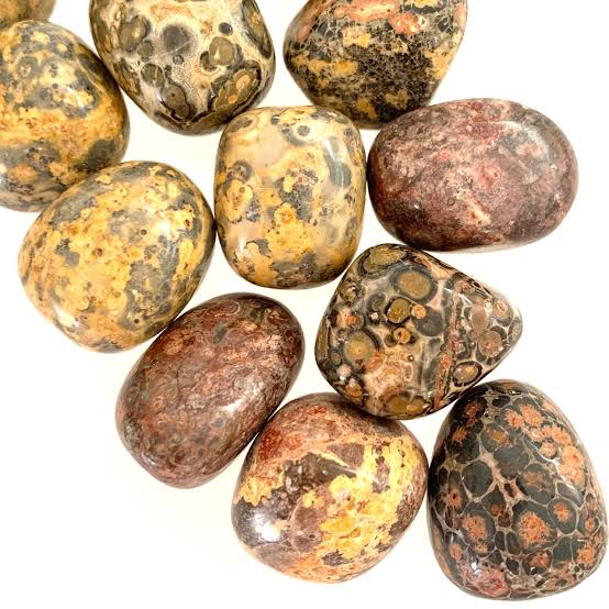 Leopard jasper tumbled stone Crystals The Crystal and Wellness Warehouse 