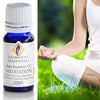 Meditation Essential Oil Blend Essential Oils The Crystal and Wellness Warehouse 