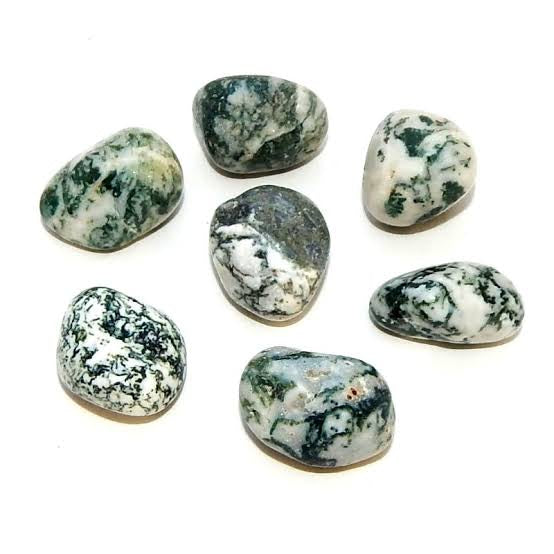 Tree agate tumbled stone Crystals The Crystal and Wellness Warehouse 