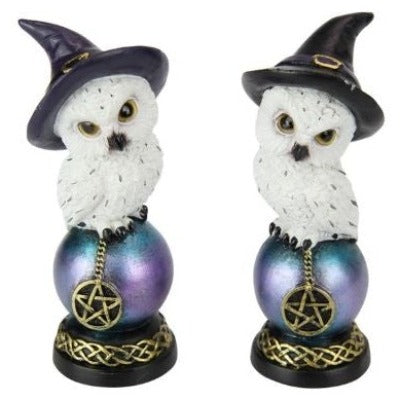 Witchy owl on celtic pentagram Decor The Crystal and Wellness Warehouse 