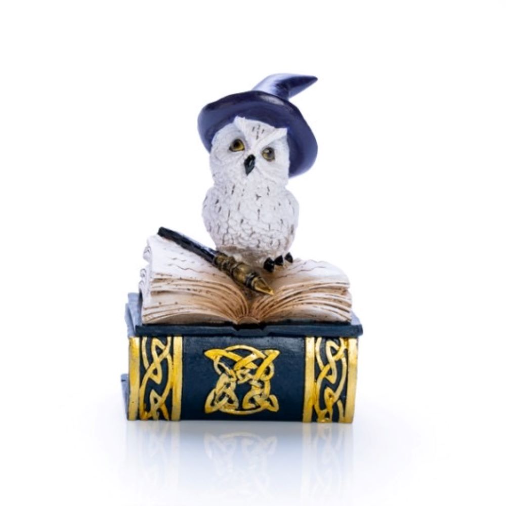 Mystical wizard owl on magic spell book trinket box / home decor item
