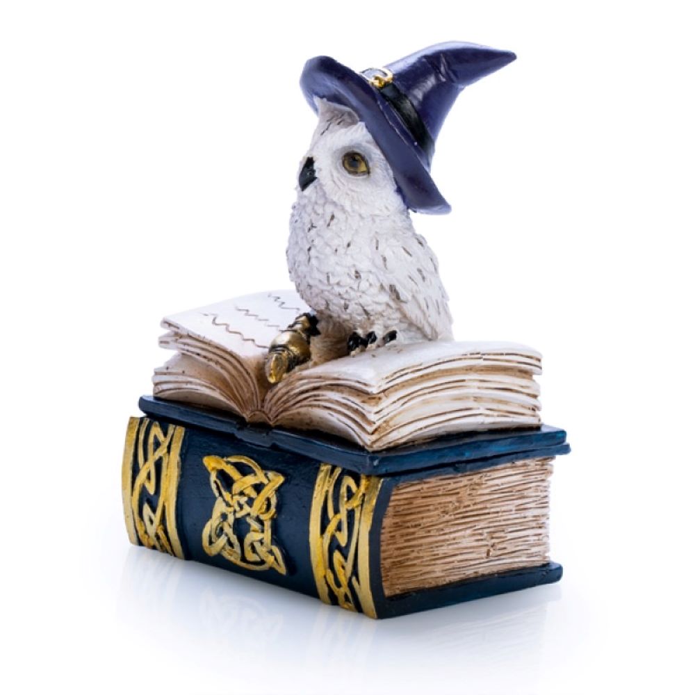 Mystical wizard owl on magic spell book trinket box / home decor item