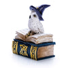 Mystical wizard owl on magic spell book trinket box / home decor item