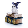 Load image into Gallery viewer, Mystical wizard owl on magic spell book trinket box / home decor item